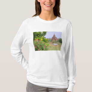 Camiseta Asia, Myanmar (Birmania), Bagan (Pagan). Vacas