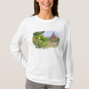 Camiseta Asia, Myanmar (Birmania), Bagan (Pagan). Vacas