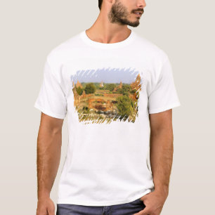 Camiseta Asia, Myanmar (Birmania), Bagan (Pagan). Vacas pas