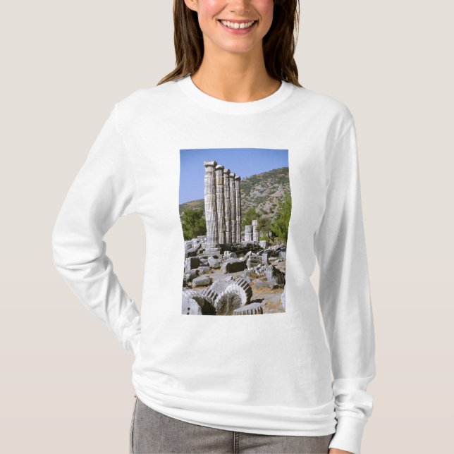 Camiseta Asia, Oriente Medio, Turquía, Éfeso. Templo de (Anverso)