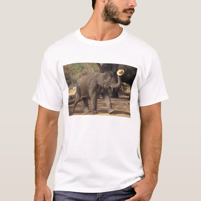 Camiseta Asia, Tailandia, Lampang cediendo con el gorra - T (Anverso)