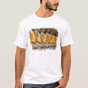 Camiseta Asia, Tailandia, Siam, Budas en Ayutthaya