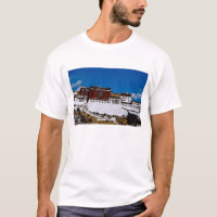 Asia, Tíbet, Lhasa, Palacio de Potala también cono