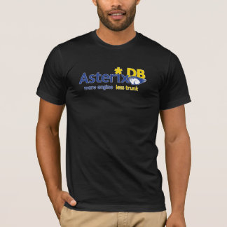 Camiseta AsterixDB
