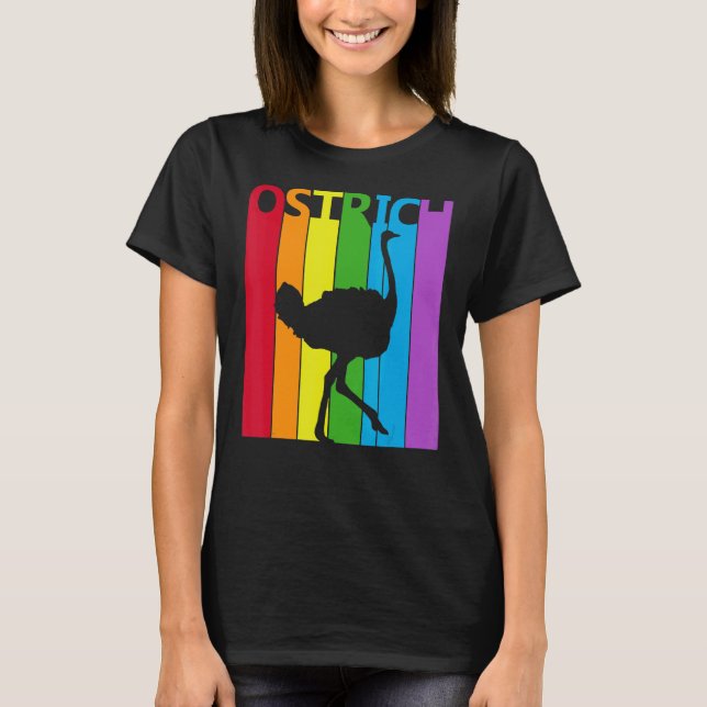 Camiseta Astrich arcoiris (Anverso)