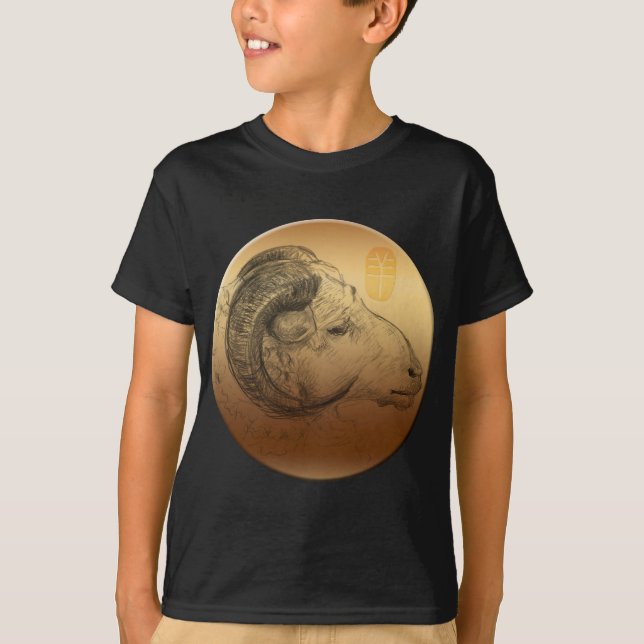Camiseta Astrologue chino Zodiac K Shirt (Anverso)