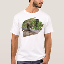 Ataque de refrigerios