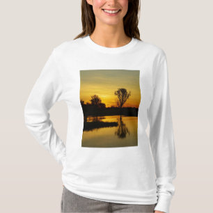 Camiseta Atardecer, Billabong de Agua Amarilla