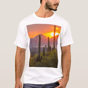 Camiseta Atardecer de cactus del desierto, Arizona