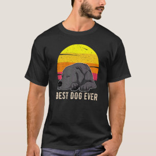 Camiseta Atardecer de perro recuperador de labrador 57