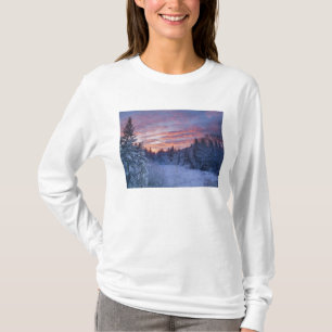 Camiseta Atardecer vívido pinta el cielo sobre invernal