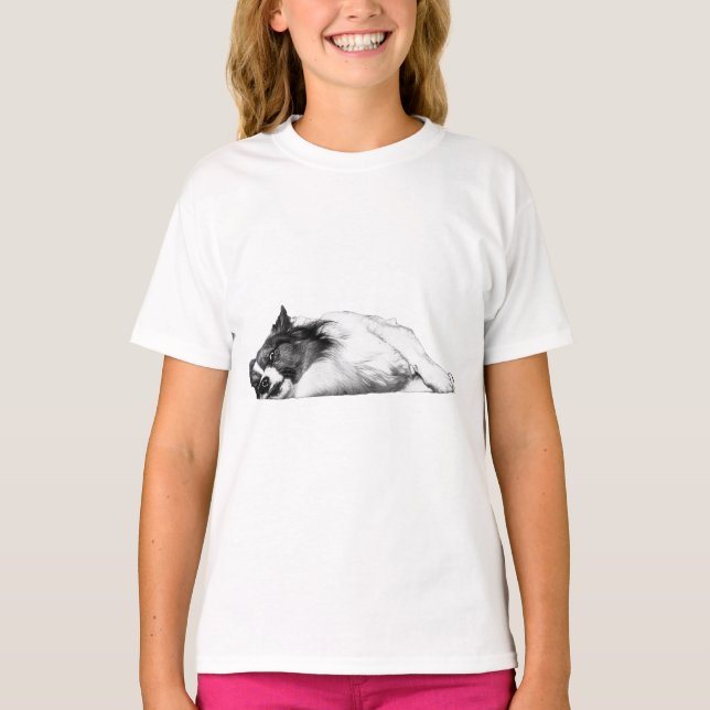 Camiseta Atmósfera de corgi de parche de calabaza (Anverso)