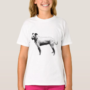 Camiseta Attentive Terrier Mix Tee Gráfico