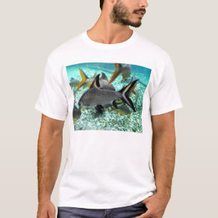 Camiseta Atún de pescado en primavera, España