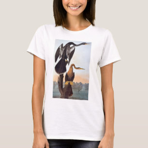 Camiseta Audubon: Anhinga