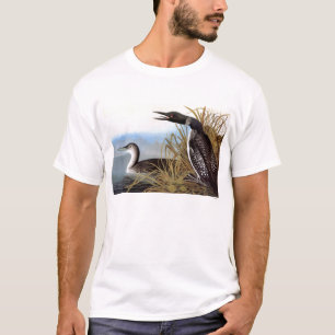 Camiseta Audubon: Bribón común