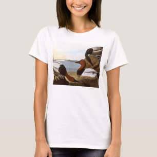 Camiseta Audubon: Canvasback