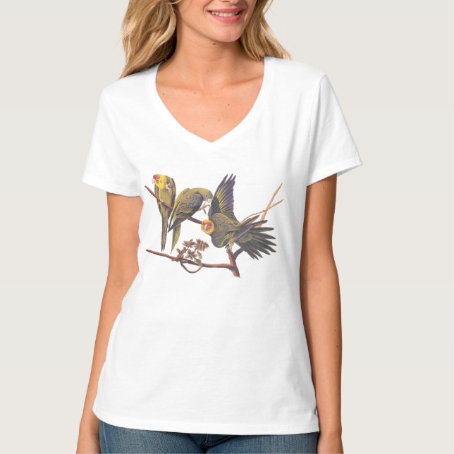 Camiseta Audubon Carolina Parakeet Trio (Anverso)