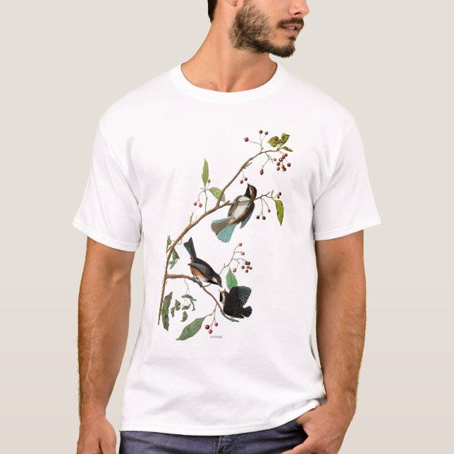 Camiseta Audubon: Chickadee (Anverso)