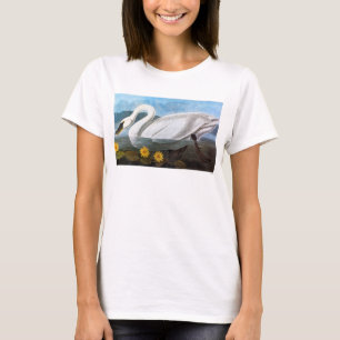 Camiseta Audubon: Cisne común