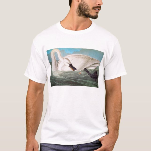 Camiseta Audubon: Cisne de trompetista (Anverso)
