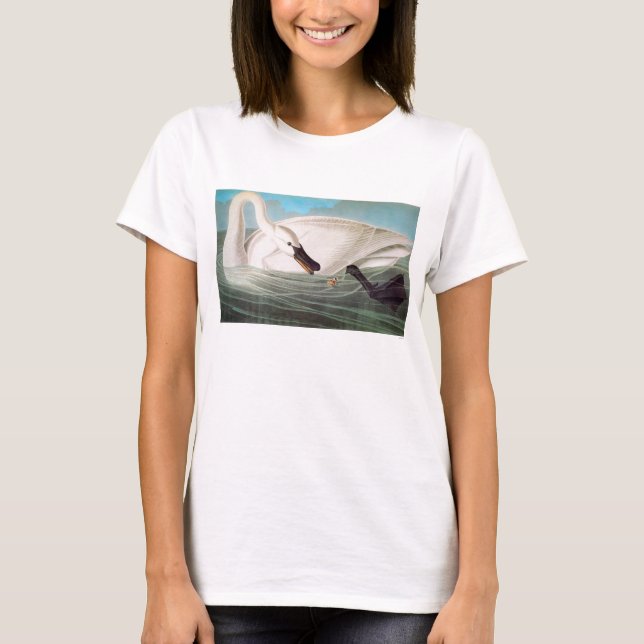 Camiseta Audubon: Cisne de trompetista (Anverso)