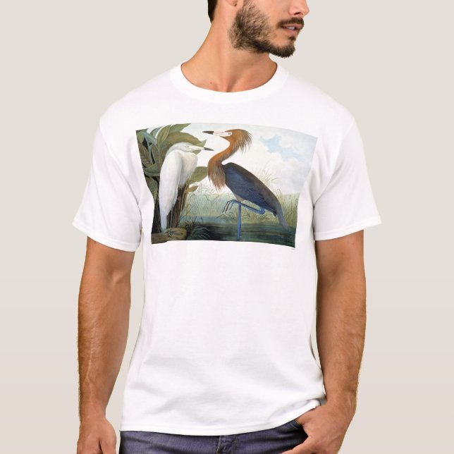Camiseta Audubon: Egret rojizo o garza púrpura (Anverso)