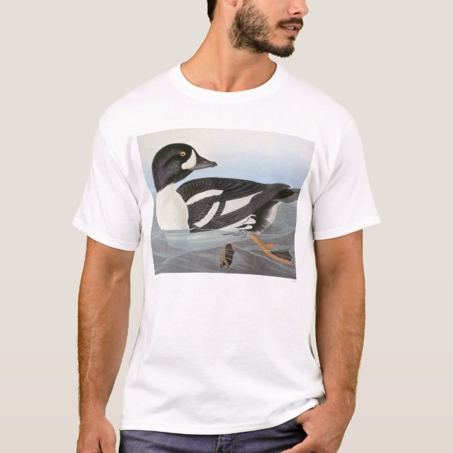 Camiseta Audubon: El Goldeneye de la carretilla (Anverso)
