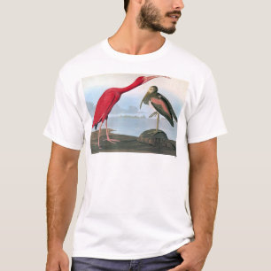 Camiseta Audubon: Escarlata Ibis