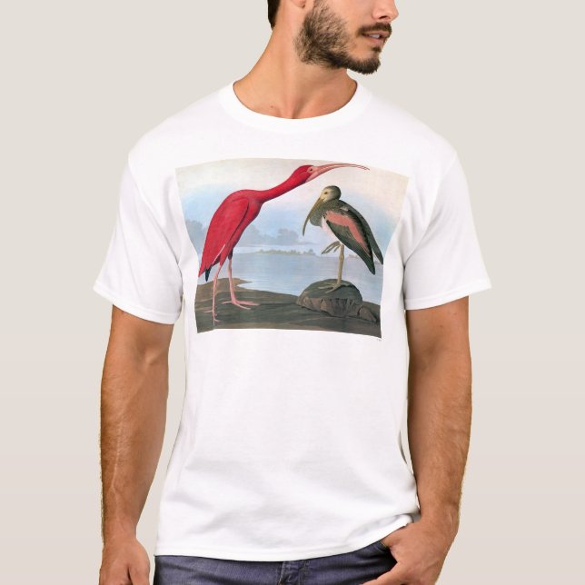 Camiseta Audubon: Escarlata Ibis (Anverso)