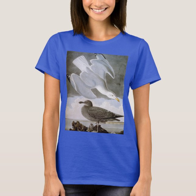 Camiseta Audubon: Gaviota de Arenque (Anverso)
