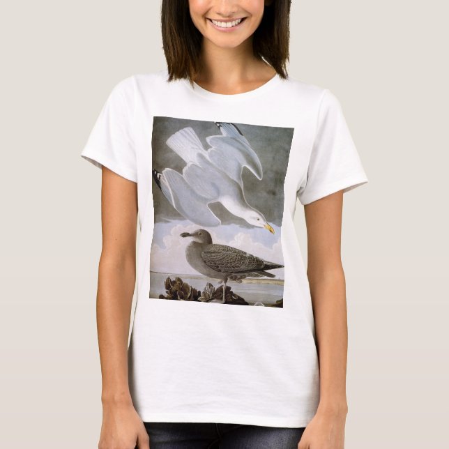 Camiseta Audubon: Gaviota de arenques (Anverso)