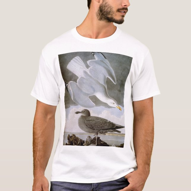 Camiseta Audubon: Gaviota de arenques (Anverso)