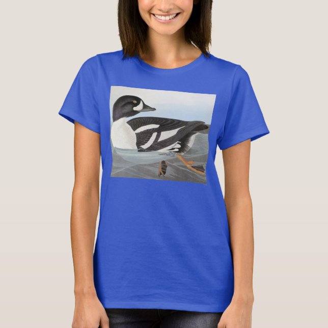 Camiseta Audubon: Goldeneye de Barrow (Anverso)