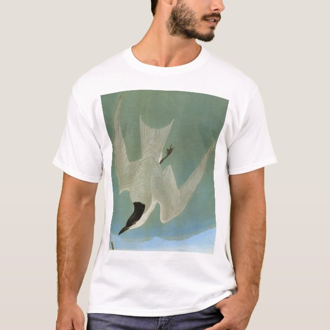 Camiseta Audubon: Golondrina de mar Gaviota-Cargada en (Anverso)