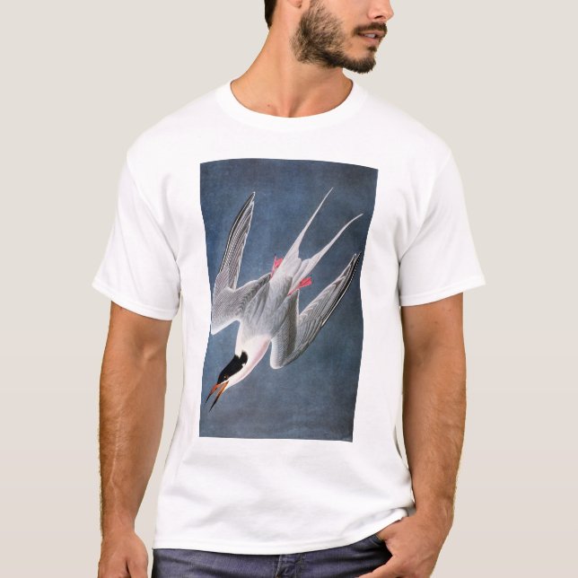 Camiseta Audubon: Golondrina de mar rosada (Anverso)