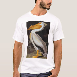 Camiseta Audubon: Gran Pelícano Blanco