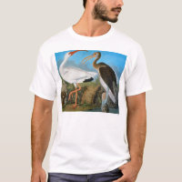 Audubon: Ibis blanco