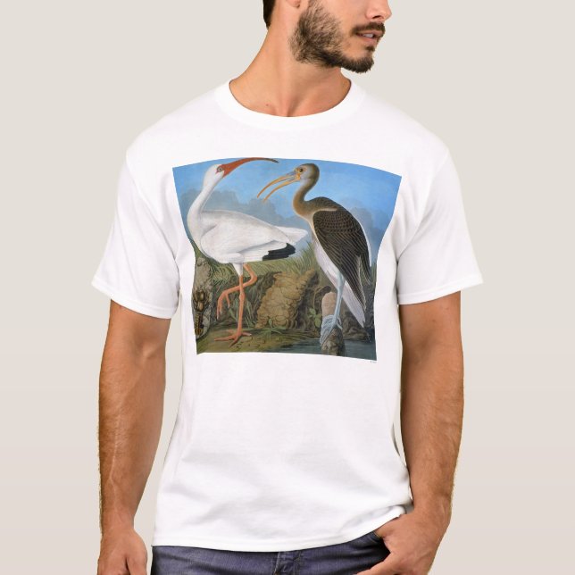 Camiseta Audubon: Ibis blanco (Anverso)