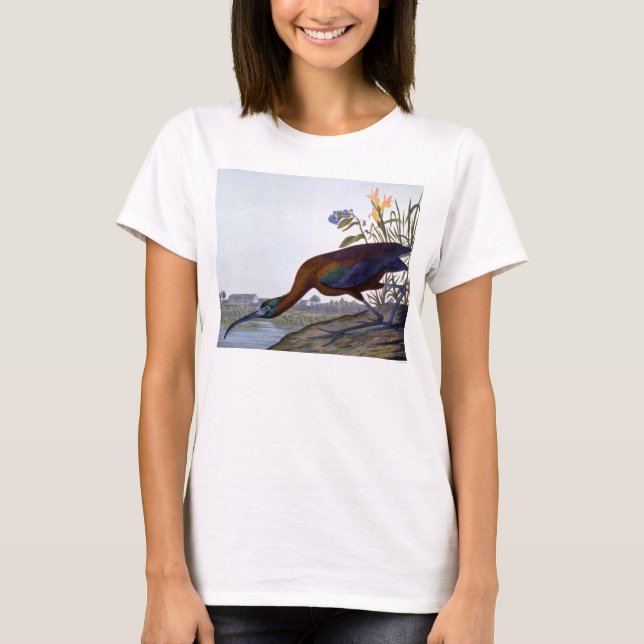 Camiseta Audubon: Ibis brillante (Anverso)