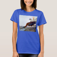 Audubon: Ibis brillante