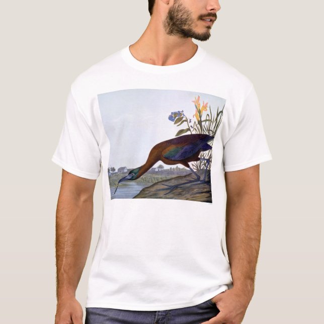 Camiseta Audubon: Ibis brillante (Anverso)