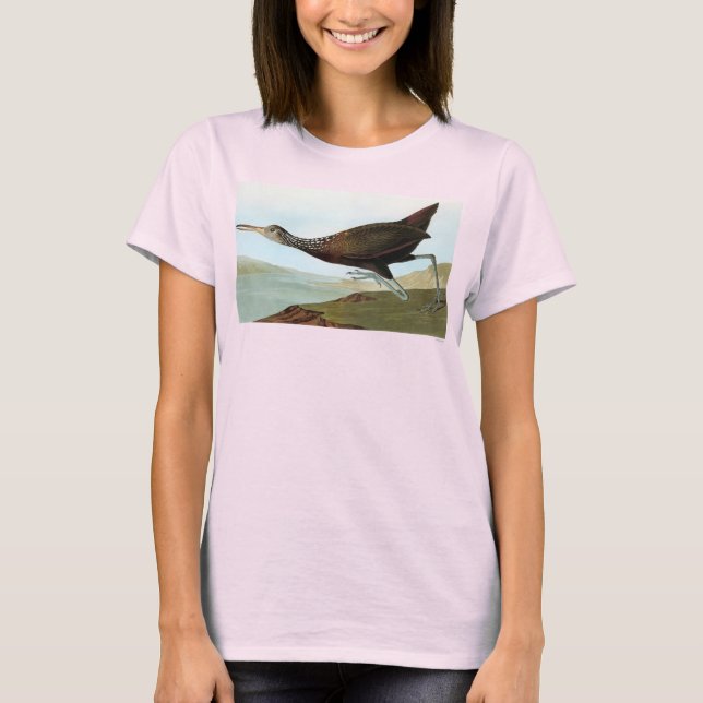 Camiseta Audubon: Limpkin (Anverso)