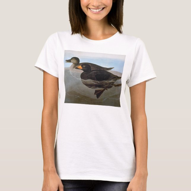 Camiseta Audubon: Negreta negra (Anverso)