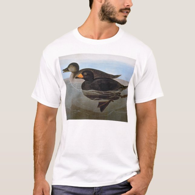 Camiseta Audubon: Negreta negra (Anverso)