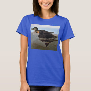 Camiseta Audubon: Negreta negra