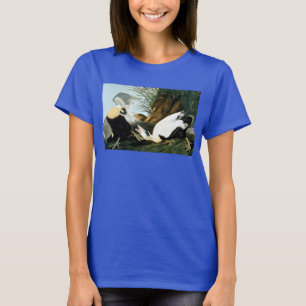 Camiseta Audubon: Pato de eíder