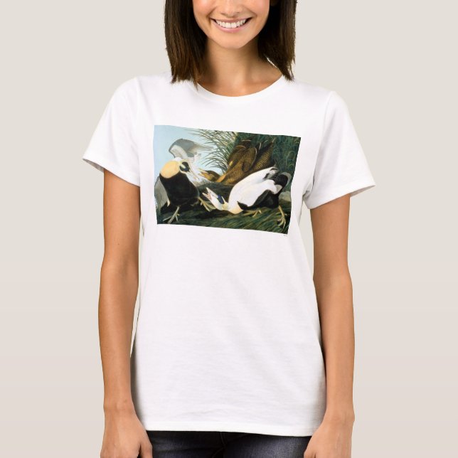 Camiseta Audubon: Pato de eíder (Anverso)