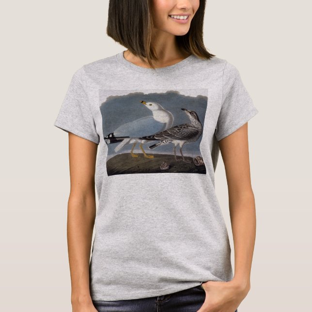 Camiseta Audubon: Ring-Billed Gull (Anverso)