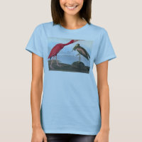 Audubon: Scarlet Ibis